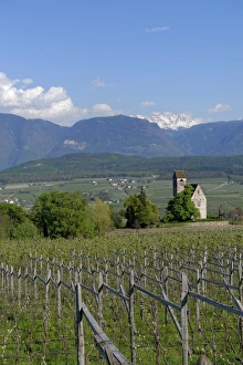Wine growing at the castle church of St. Sebastian, Schloss Englar in Appiano on the Wine Wine growing at the castle church of St. Sebastian, Schloss Englar in Appiano on the Wine