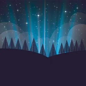 Winter and christmas landscape with snow and trees at night Winter and christmas landscape with snow and trees at night