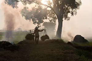 One woman carry a balance in harvest time One woman carry a balance in harvest time