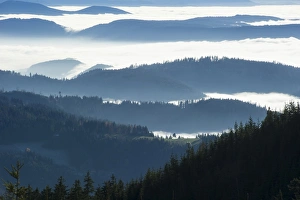 Wooded hills, fog, Seebach, Nordschwarzwald, Schwarzwald, Baden-Wurttemberg, Germany Wooded hills, fog, Seebach, Nordschwarzwald, Schwarzwald, Baden-Wurttemberg, Germany