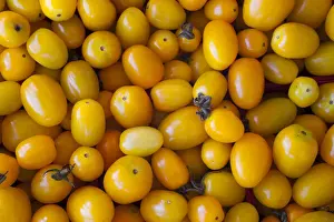 Fruit Vegetable Photography Prints: Yellow cherry tomatoes