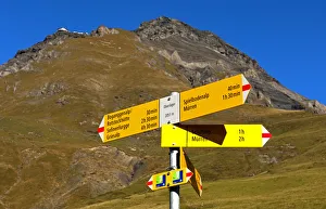Yellow hiking signposts on an alpine pasture below Schilthorn Mountain in the Muerren Yellow hiking signposts on an alpine pasture below Schilthorn Mountain in the Muerren