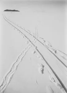 Adelie penguin track and sledge track crossing. December 8th 1911 Adelie penguin track and sledge track crossing. December 8th 1911