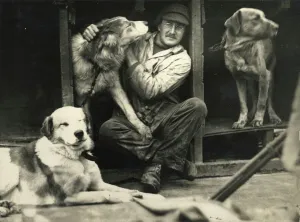 Dr Macklin with sledge dogs on board ship Dr Macklin with sledge dogs on board ship