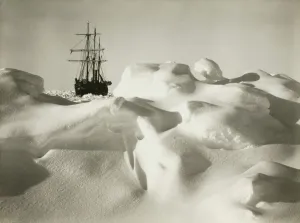 Endurance in the pack ice much resembling a billowy sea Endurance in the pack ice much resembling a billowy sea