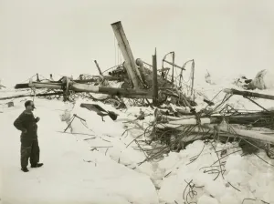 Frank Wild examining the wreckage of the Endurance Frank Wild examining the wreckage of the Endurance