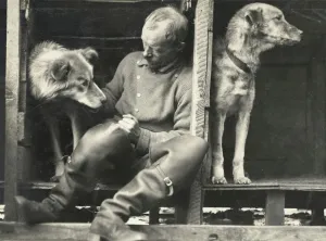 Frank Wild and sledge dogs on board ship Frank Wild and sledge dogs on board ship