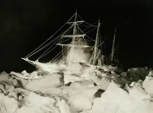 Trans-Antarctic Expedition Prints: Print of Endurance in Antarctic ice