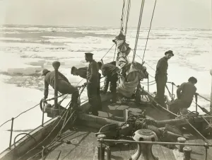 Trans-Antarctic Expedition Prints: Print of a ship entering Antarctic pack ice, December 1914