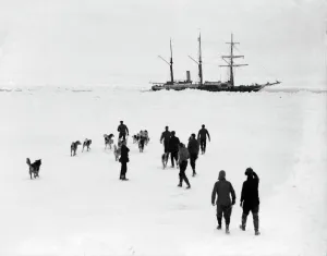 Men and dogs on the ice, Endurance in the background Men and dogs on the ice, Endurance in the background