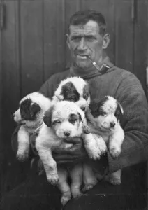 Tom Crean with Expedition Puppies Print