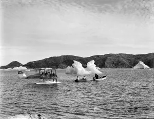 Towing moth with outboard motor Towing moth with outboard motor