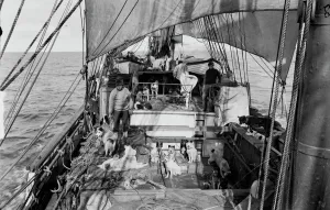 View of deck of Terra Nova with dogs from engine room hatch. January 3rd 1911 View of deck of Terra Nova with dogs from engine room hatch. January 3rd 1911
