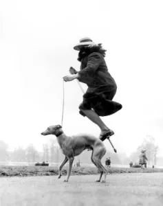 Dog Racing Prints: A woman stands on a pogo stick, in mid-air. Print of a vintage photograph