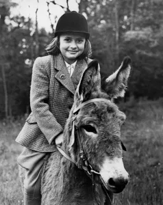 Donkey - lightweight jockey Geraldine Hinson (9) of Jarvis Brook, Sussex, will be Donkey - lightweight jockey Geraldine Hinson (9) of Jarvis Brook, Sussex, will be