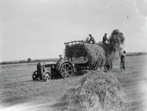 Farm workers in Farningham load hay on to the trailer being pulled by a tractor. 1935 Farm workers in Farningham load hay on to the trailer being pulled by a tractor. 1935