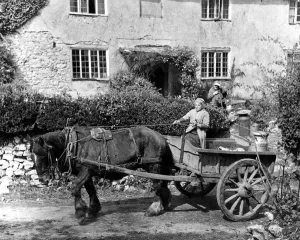 Grand old lady farmer from Devonshire with her horse and cart and milk churns. May 1950 Grand old lady farmer from Devonshire with her horse and cart and milk churns. May 1950