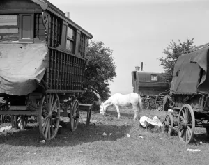 Gypsy caravans parked on Epsom Downs during the Epsom Races. Late 1940s, early 1950s Gypsy caravans parked on Epsom Downs during the Epsom Races. Late 1940s, early 1950s