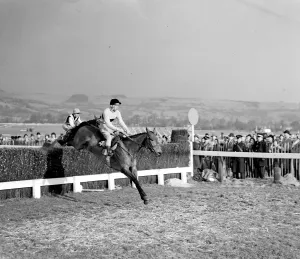 Pat Taaffe on Irish-trained Arkle takes the last fence ahead of English champion Mill Pat Taaffe on Irish-trained Arkle takes the last fence ahead of English champion Mill