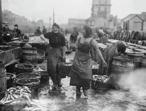 Scotch lassies engaged in curing kippers at Douglas, on the Isle of Man September Scotch lassies engaged in curing kippers at Douglas, on the Isle of Man September