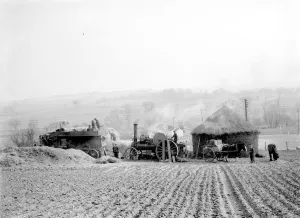 Steam threshing machines travelled from farm to farm. Water for the engine was brought Steam threshing machines travelled from farm to farm. Water for the engine was brought