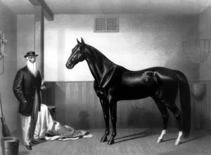 William Rysdyks Hambletonian 1865, Father of the Trotting Horse. His employer, Seeley William Rysdyks Hambletonian 1865, Father of the Trotting Horse. His employer, Seeley