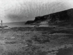 Beach at low tide, Port Gaverne, St Endellion, Cornwall. 1906 Beach at low tide, Port Gaverne, St Endellion, Cornwall. 1906