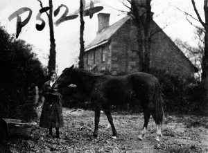 Member of the First World War Womens Land Army with a horse, Tregavethan Farm, Truro Member of the First World War Womens Land Army with a horse, Tregavethan Farm, Truro