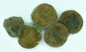 Roman Coins Print: Trevelgue Head Excavation 1939