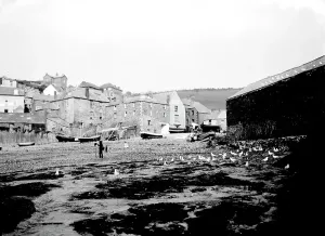 Port Isaac Prints: Print of Port Isaac Village Scene