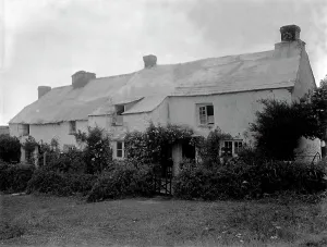 Places/st mawgan pydar/rose cottage tregurrian st mawgan pydar Places/st mawgan pydar/rose cottage tregurrian st mawgan pydar