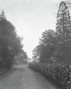 Places/perranarworthal/south drive goonvrea house perranarworthal Places/perranarworthal/south drive goonvrea house perranarworthal