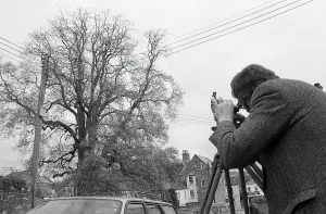 Tree Measurement, Lostwithiel, Cornwall. May 1992 Tree Measurement, Lostwithiel, Cornwall. May 1992