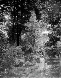Trewithen House, Probus, Cornwall. July 1935 Trewithen House, Probus, Cornwall. July 1935