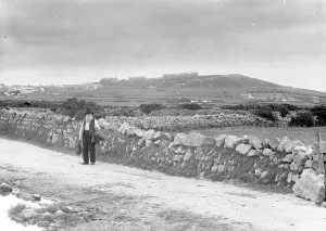 A view towards Carn Bosavern from near New Downs, St Just in Penwith, Cornwall. Around 1900 A view towards Carn Bosavern from near New Downs, St Just in Penwith, Cornwall. Around 1900