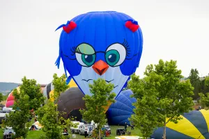 A bird-shape hot-air balloon raises during the 21th European Balloon Festival in Igualada A bird-shape hot-air balloon raises during the 21th European Balloon Festival in Igualada