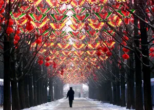 China-New Year-Decorations-Butterflies China-New Year-Decorations-Butterflies