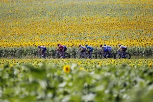 Cycling-Fra-Tdf-2010-Breakaway-Postcard Cycling-Fra-Tdf-2010-Breakaway-Postcard