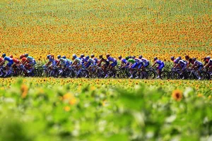 Cycling-Fra-Tdf-2010-Pack-Postcard