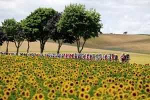 Cycling-Fra-Tdf2012-Pack-Postcard