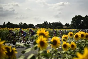 CYCLING-FRA-TDF2018-POSTCARD-FANS