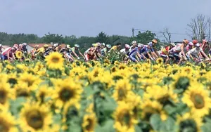 Cycling-Tdf-Features Cycling-Tdf-Features