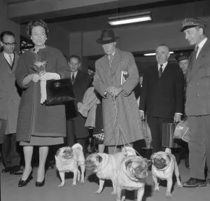 Duke of Windsor and Duchess Wallis of Windsor in Paris Duke of Windsor and Duchess Wallis of Windsor in Paris