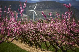 France-Agriculture-Fruits-Orchards-Spring-Weather-Feature France-Agriculture-Fruits-Orchards-Spring-Weather-Feature