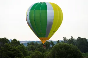 A hot-air balloon raises amongst trees during the 21th European Balloon Festival in Igualada A hot-air balloon raises amongst trees during the 21th European Balloon Festival in Igualada