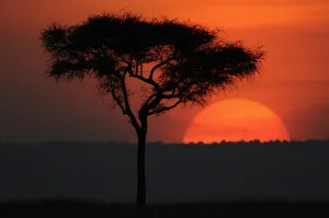Kenya-Sunset-Nature Kenya-Sunset-Nature