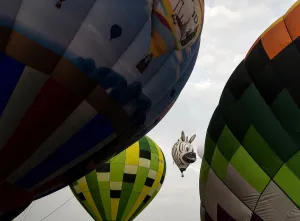 Malaysia-Lifestyle-Festival-Balloons Malaysia-Lifestyle-Festival-Balloons