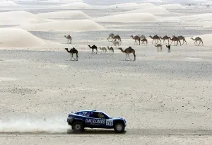 Motor Rallying-Dakar-Schlesser Motor Rallying-Dakar-Schlesser
