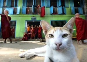 Myanmar-Religion-Monastery Myanmar-Religion-Monastery