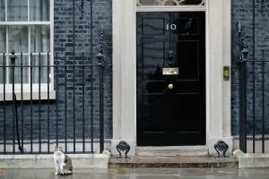 Politic Prints: Print of Larry the Cat outside 10 Downing Street